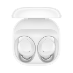 Galaxy Buds core
